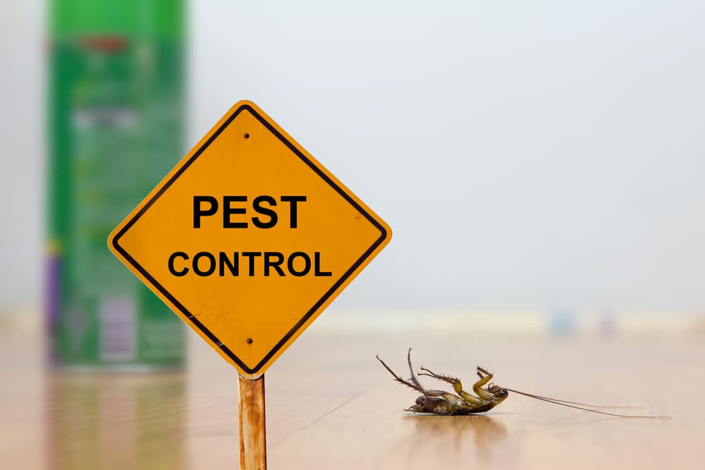 Lower the likelihood of pest infestations