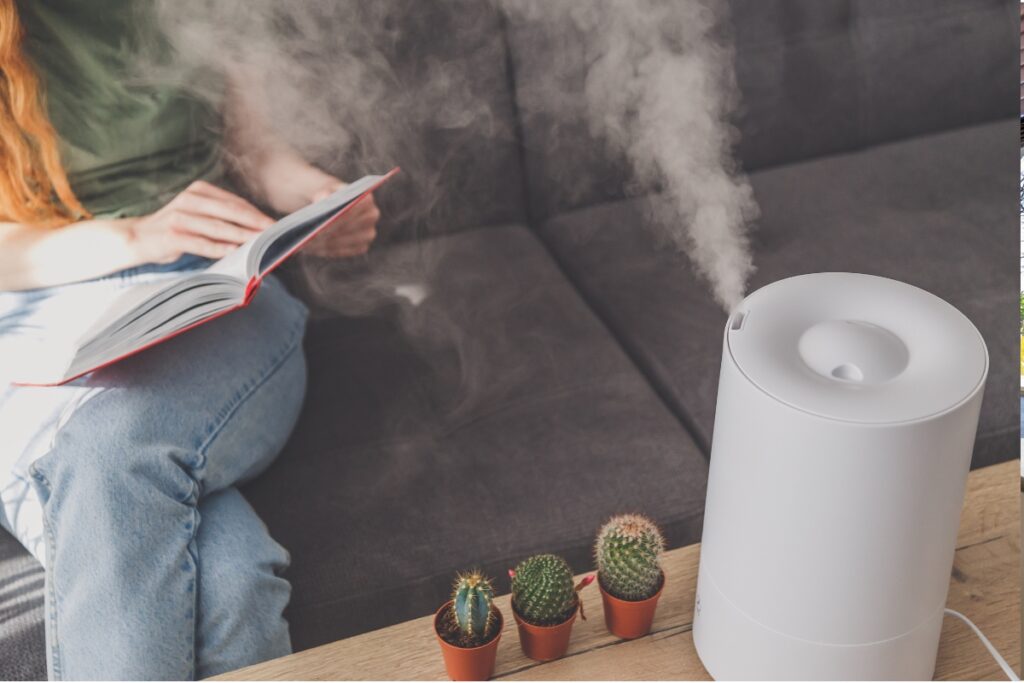 Clean the humidifier