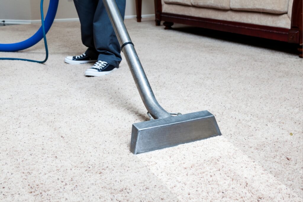 Cleaning the carpet