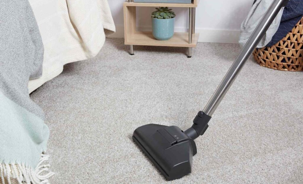 Sweep and vacuum regularly