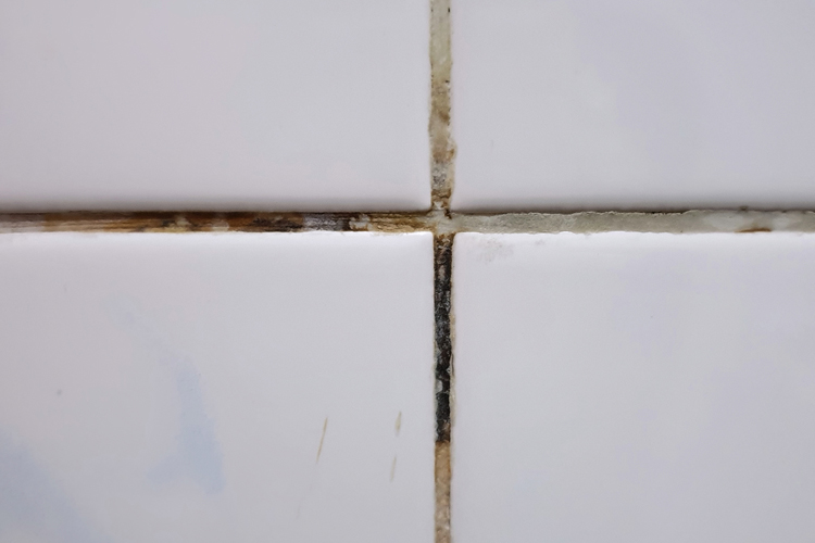 Common Reasons for Discolored Grout