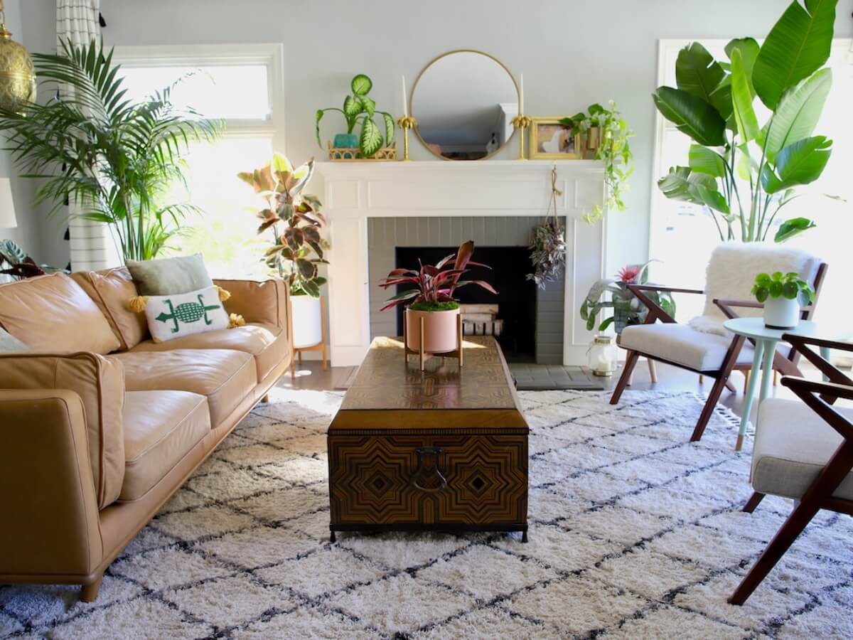 Elevate Your Living Room with Thoughtfully Placed Indoor Plants